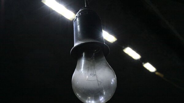 مصباح كهربائي - سبوتنيك عربي