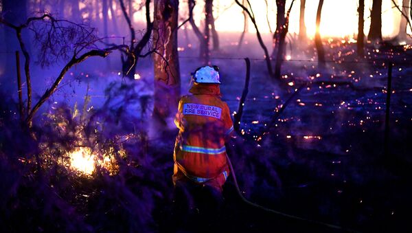 إطفاء الحرائق في أستراليا، 7 ديسمبر 2019 - سبوتنيك عربي