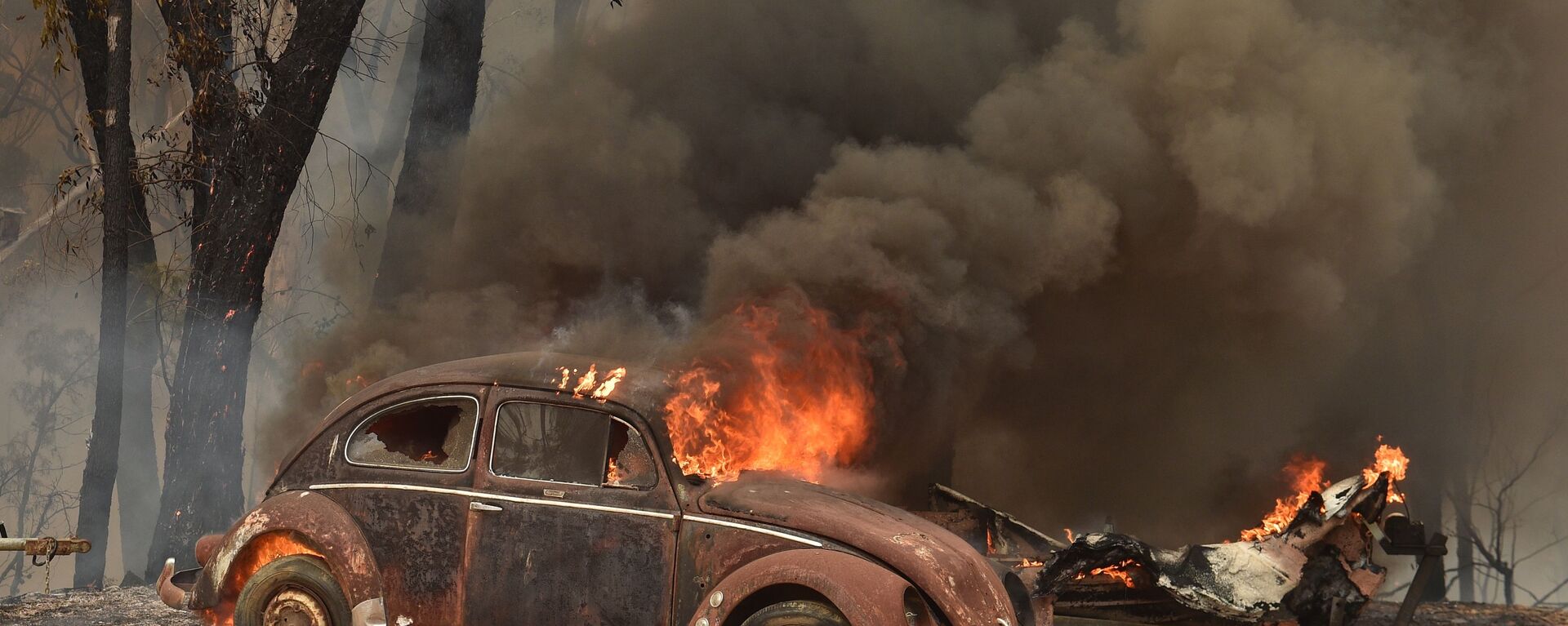 اشتعال سيارة إثر حريق هائل في سيدني، أستراليا 19 ديسمبر 2019 - سبوتنيك عربي, 1920, 24.01.2020