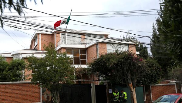 سفارة المكسيك في بوليفيا - سبوتنيك عربي