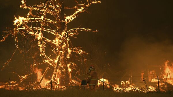 رجال الاطفاء الأستراليين خلال اطفاء الحرائق الهائلة في غابات منطقة بيلبين، أستراليا 21 ديسمبر 2019 - سبوتنيك عربي