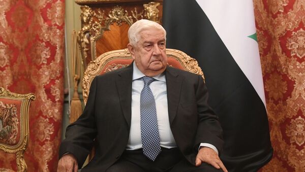 وزير الخاريجة السوري وليد المعلم، 23 ديسمبر 2019 - سبوتنيك عربي