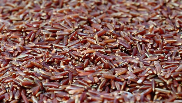 أرز أحمر - سبوتنيك عربي
