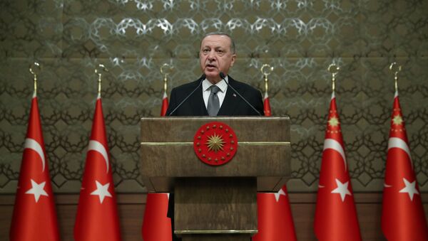 الرئيس التركي أردوغان يتحدث خلال ندوة في أنقرة - سبوتنيك عربي