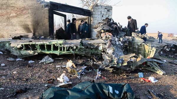 الطائرة الأوكرانية المنكوبة بعد سقوطها في إيران - سبوتنيك عربي