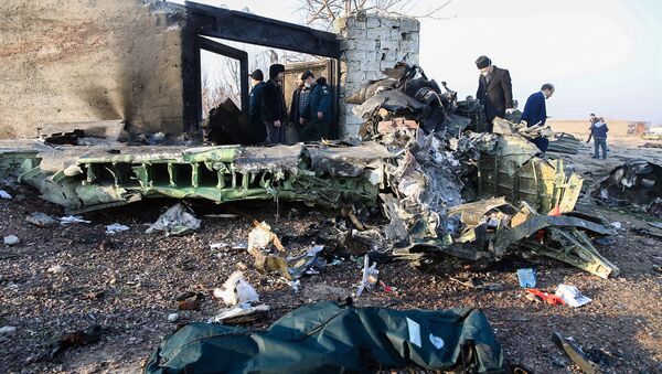 الطائرة الأوكرانية المنكوبة بعد سقوطها في إيران - سبوتنيك عربي