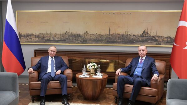 لقاء بين الرئيس الروسي فلاديمير بوتين والرئيس التركي رجب طيب أردوغان - سبوتنيك عربي