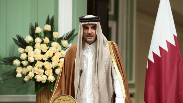 أمير قطر الشيخ تميم بن حمد آل ثاني في طهران - سبوتنيك عربي