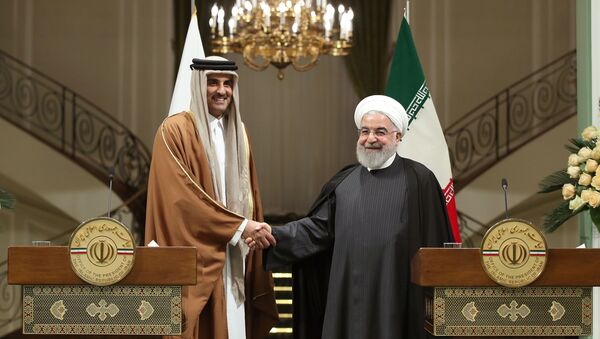 الرئيس الإيراني حسن روحاني يصافح أمير قطر الشيخ تميم بن حمد بن خليفة آل ثاني خلال مؤتمر صحفي في طهران - سبوتنيك عربي