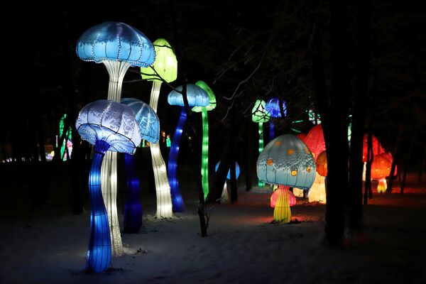 مهرجان المصابيح الصينية في موسكو - سبوتنيك عربي