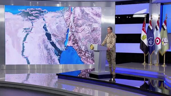 العميد تامر الرفاعي المتحدث العسكري للقوات المسلحة المصرية - سبوتنيك عربي