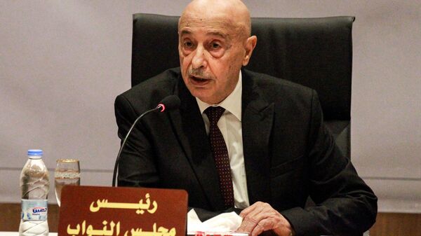 رئيس البرلمان الليبي عقيلة صالح - سبوتنيك عربي