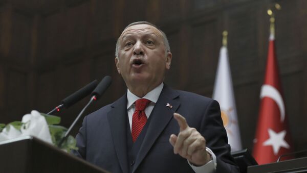 الرئس التركي رجب طيب أردوغان - سبوتنيك عربي