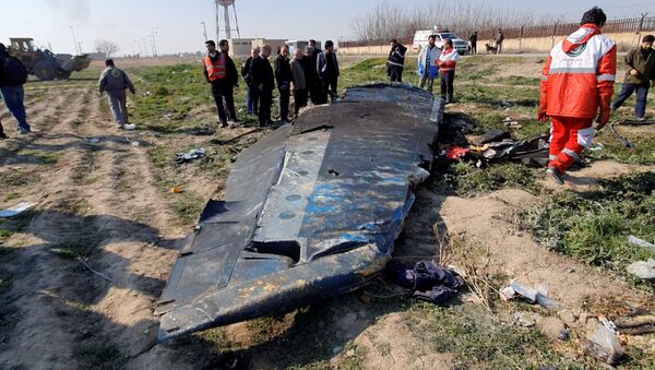 الطائرة الإيرانية التي تحطمت في إيران - سبوتنيك عربي