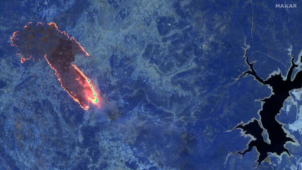 صورة بالأشعة تحت الحمراء تظهر حرائق مشتعلة في غابة بنيو ساوث ويلز  في أستراليا - سبوتنيك عربي