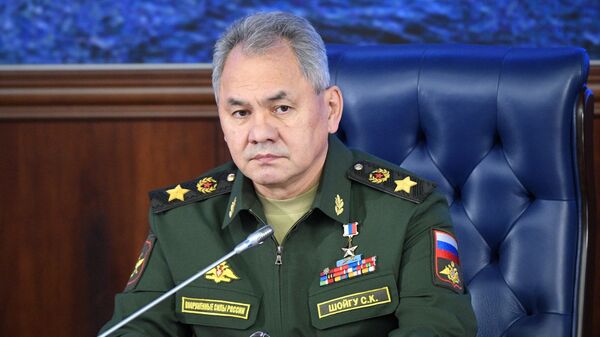 أعضاء الحكومة الروسية الجديدة - وزير الدفاع الروسي سيرغي شويغو - سبوتنيك عربي