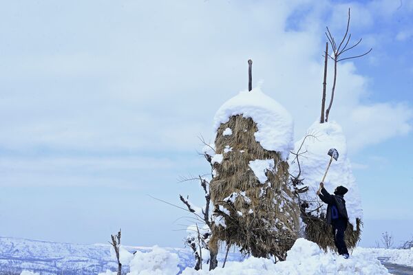 قروي يزيل الثلج من القش بعد تساقط الثلوج الكثيفة في منطقة كانيداجان في منطقة بودجام في سريناغار، الهند 18 يناير 2020 - سبوتنيك عربي