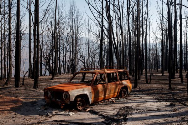 سيارة محترقة في وادي الكنغر بأستراليا بعد حرائق الغابات، 23 يناير 2020 - سبوتنيك عربي