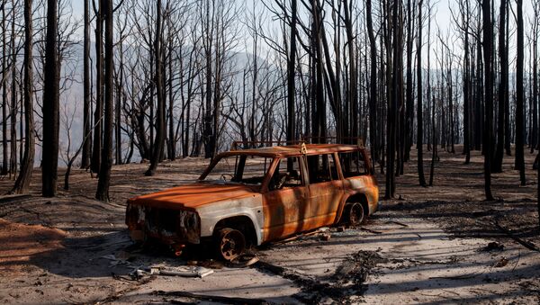 سيارة محترقة في وادي الكنغر بأستراليا بعد حرائق الغابات، 23 يناير 2020 - سبوتنيك عربي