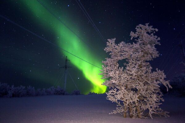 أضواء الشفق القطبي في منطقة مورمانسك الروسية، 29 يناير 2020 - سبوتنيك عربي