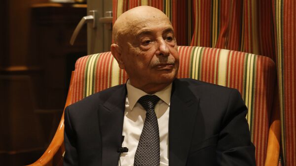 رئيس مجلس النواب الليبي عقيلة صالح - سبوتنيك عربي