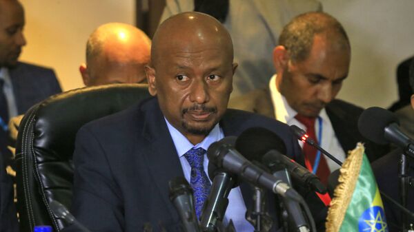 وزير المياه والطاقة والري الإثيوبي، سيليشي بيكيلي - سبوتنيك عربي