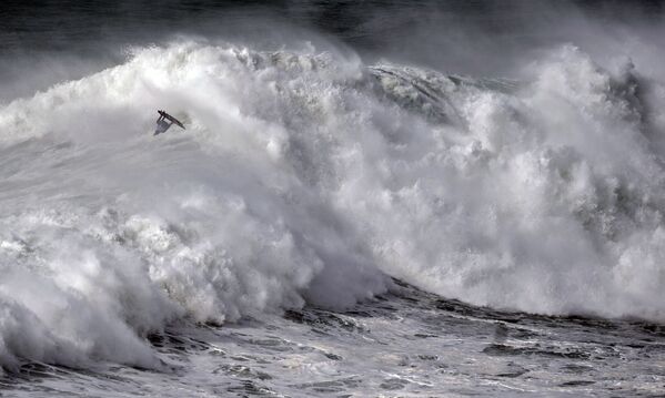 راكب الأمواج من هاواي كاي ليني يركب الموجة العملاقة خلال تحدي نزاري تو لركوب الأمواج في البرتغال، 11 فبراير 2020 - سبوتنيك عربي