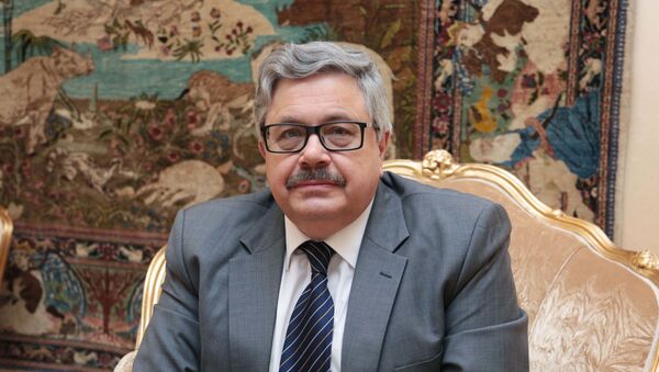 السفير الروسي لدى تركيا أليكسي يرخوف - سبوتنيك عربي