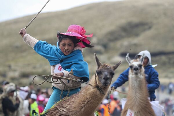 مشاركة في سباق اللاما التقليدية في محمية لانغانات الوطنية، الإكوادور 8 فبراير 2020 - سبوتنيك عربي