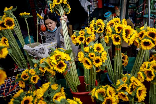 بائعة زهور في يوم فالنتاين (عيد الحب) في مانيلا، الفلبين 14 فبراير 2020 - سبوتنيك عربي