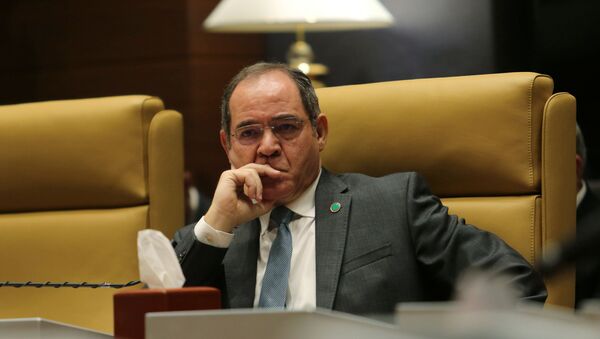  وزير الخارجية الجزائري، صبري بوقادوم - سبوتنيك عربي