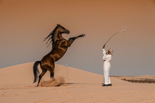 صورة بعنوان حركة الفرس في السعودية، للمصور عباس الخميس من السعودية، الحائزة على الجائزة الوطنية (السعودية) في المسابقة العالمية سوني للتصوير لعام 2020 - سبوتنيك عربي