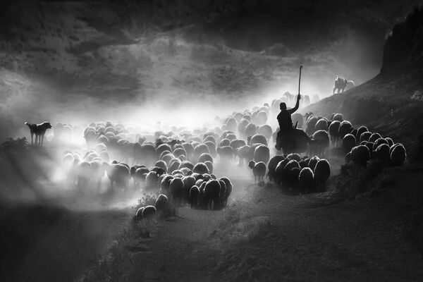 صورة بعنوان ضوء الظل والحرس في بدليس بتركيا، للمصور ف. ديليك أويار من تركيا، الحائزة على الجائزة الوطنية (تركيا) في المسابقة العالمية سوني للتصوير لعام 2020 - سبوتنيك عربي