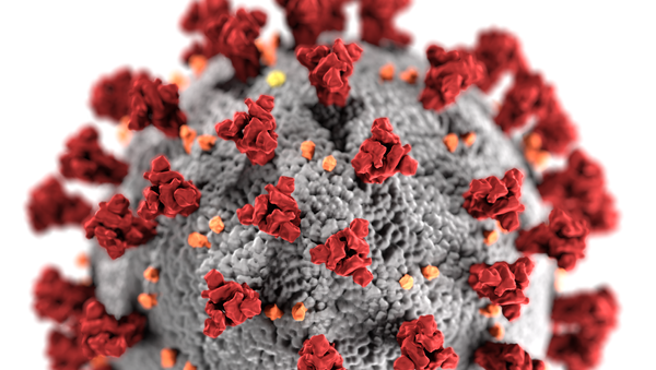 فيروس كورونا الجديد SARS-CoV-2 - سبوتنيك عربي