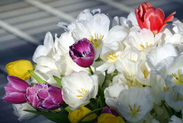 استعدادات المحلات لبيع الزهور بمناسبة يوم المرأة العالمي، 8 مارس/ آذار، كراسنويارسك الروسية - سبوتنيك عربي