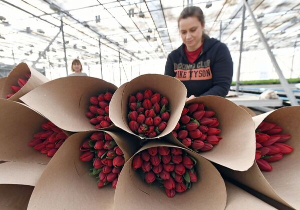 استعدادات المحلات لبيع الزهور بمناسبة يوم المرأة العالمي، 8 مارس/ آذار، كراسنويارسك الروسية - سبوتنيك عربي
