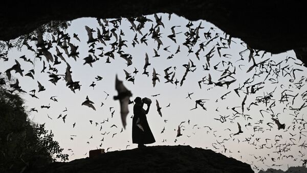 امرأة تبعد الخفافيش بواسطة آلة صوتية عن برج كهرباء في ميانمار 1 مارس 2020 - سبوتنيك عربي