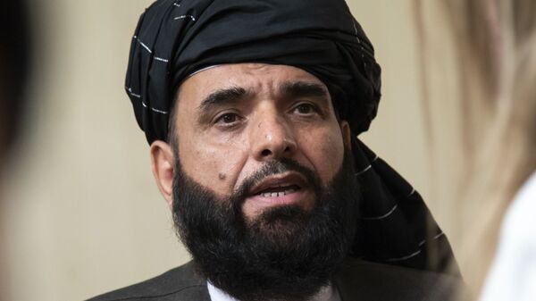 سهيل شاهين المتحدث باسم المكتب السياسي لحركة طالبان في الدوحة - سبوتنيك عربي