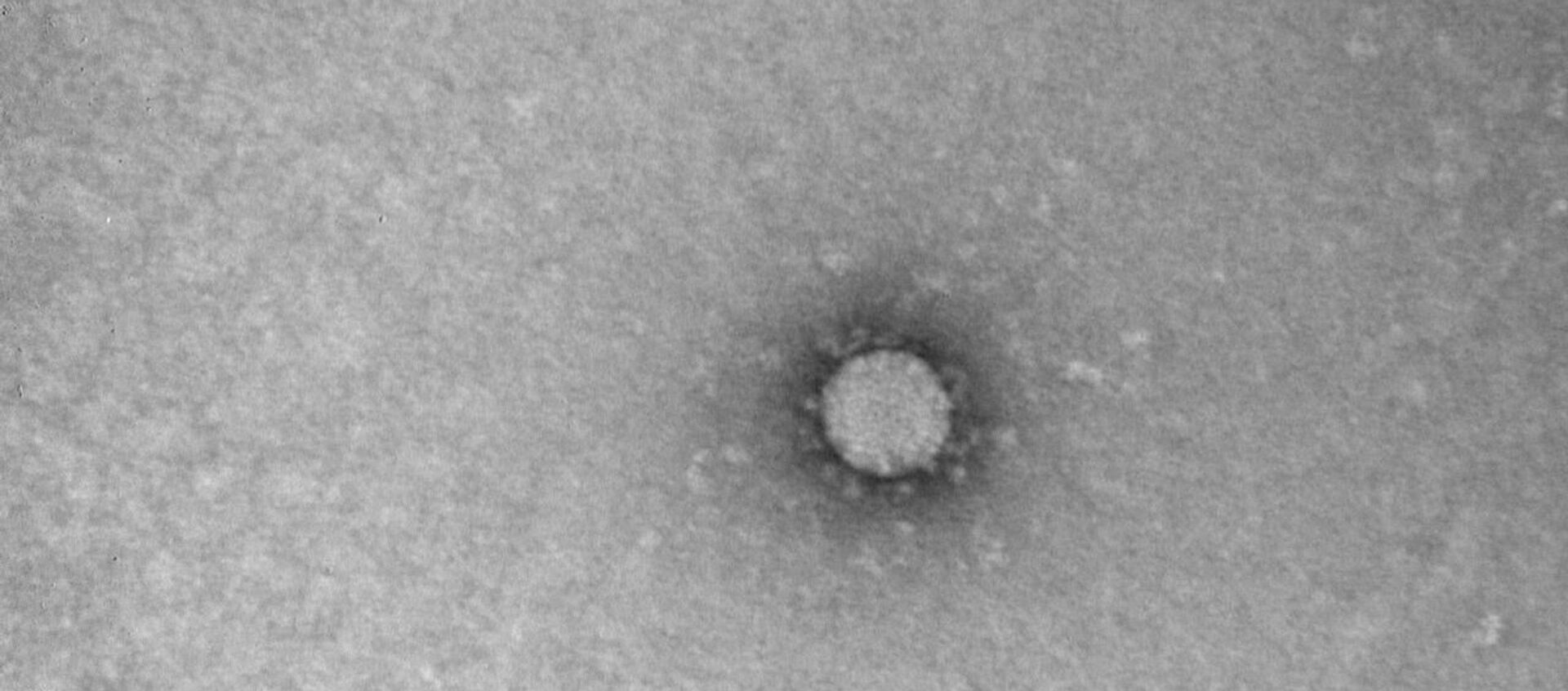  صورة فيروس كورونا - سبوتنيك عربي, 1920, 23.03.2020