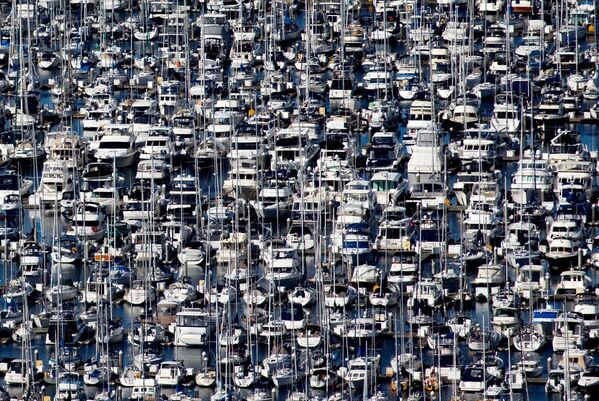 رست المئات من القوارب في مرسى إليوت باي أثناء تفشي مرض فيروس التاجي (COVID-19)  في سياتل، واشنطن، الولايات المتحدة، 16 مارس 2020. - سبوتنيك عربي