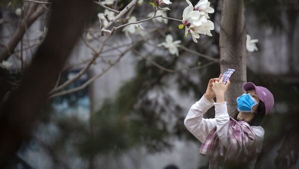 امرأة ترتدي قناع واقي تلتقط صورة لأزهار الكرز في حديقة بكين للحيوانات، بعد أن أعادت فتح المناطق الشكوفة أمام الجمهور، بعد حجر صحي في بكين، على خلفية تفشي الفيروس التاجي كورونا في الصين، 24 مارس 2020 - سبوتنيك عربي