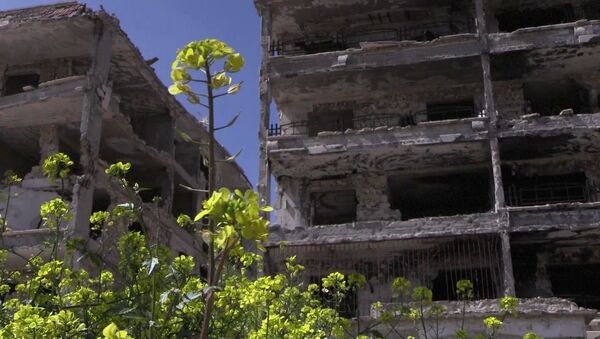 حي الحمدانية، حلب، سوريا 2 أبريل 2020 - سبوتنيك عربي
