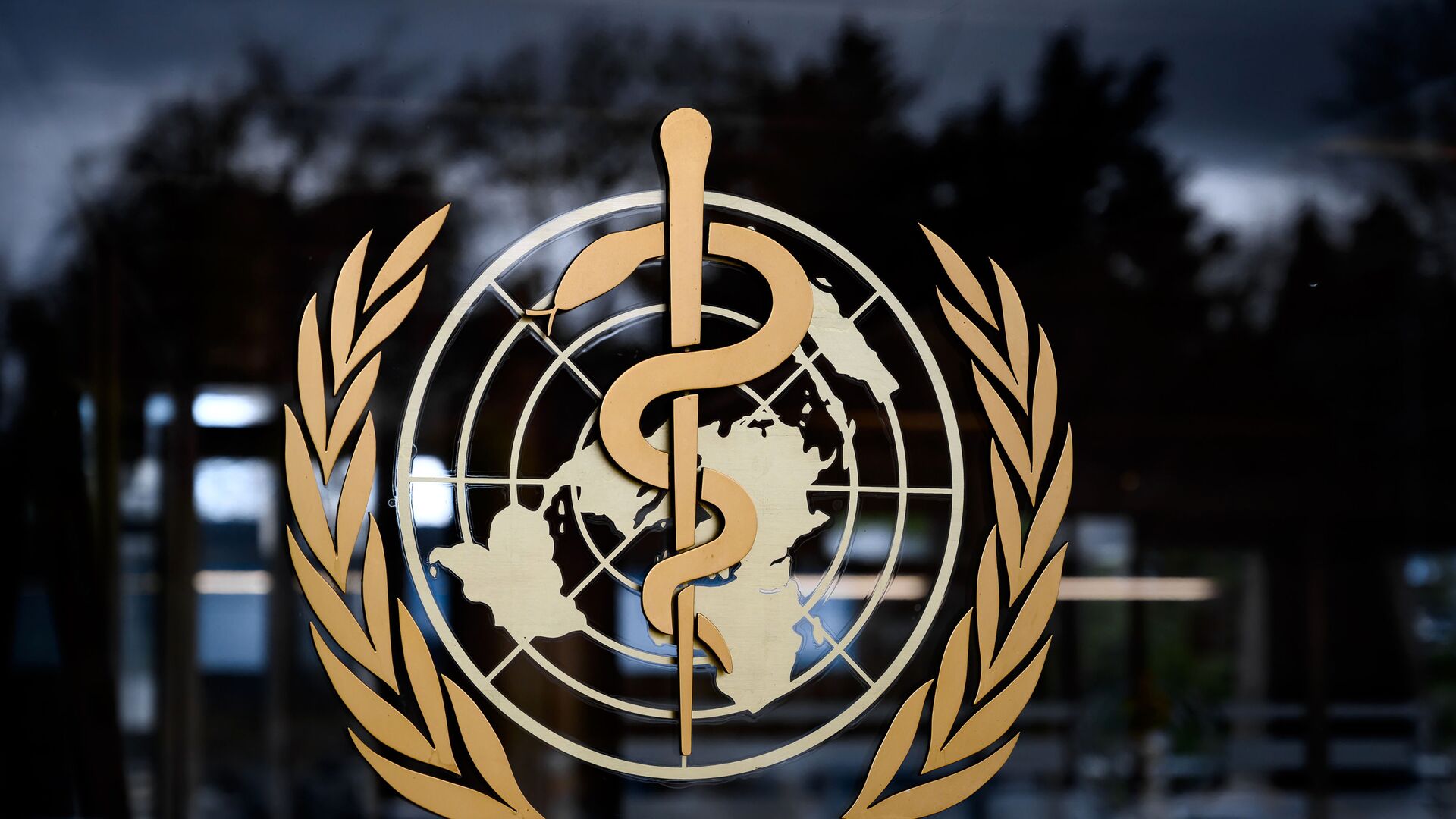 شعار منظمة الصحة العالمية - سبوتنيك عربي, 1920, 17.03.2023
