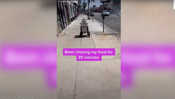 روبوت يجبر أمريكي على مطاردة طعامه... فيديو - سبوتنيك عربي