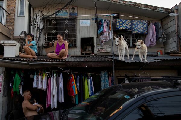 فتيات مع الكلاب على سطح منزل خلال العزلة الذاتية في الفلبين21 أبريل 2020 - سبوتنيك عربي
