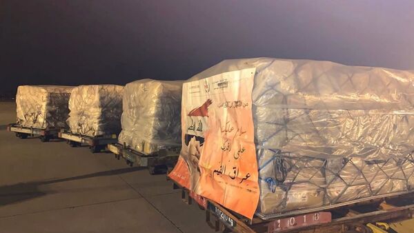 مساعدات طبية صينية تصل إلى مطار بغداد الدولي - سبوتنيك عربي