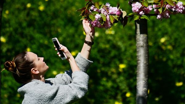 فتاة تصور أزهار الكرز على زقاق بستان الكرز في سوتشي الروسية - سبوتنيك عربي