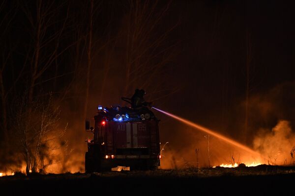 رجال الإطفاء يطفئون الحريق في غابات منطقة نوفوسيبيرسك الروسية 23 أبريل 2020 - سبوتنيك عربي