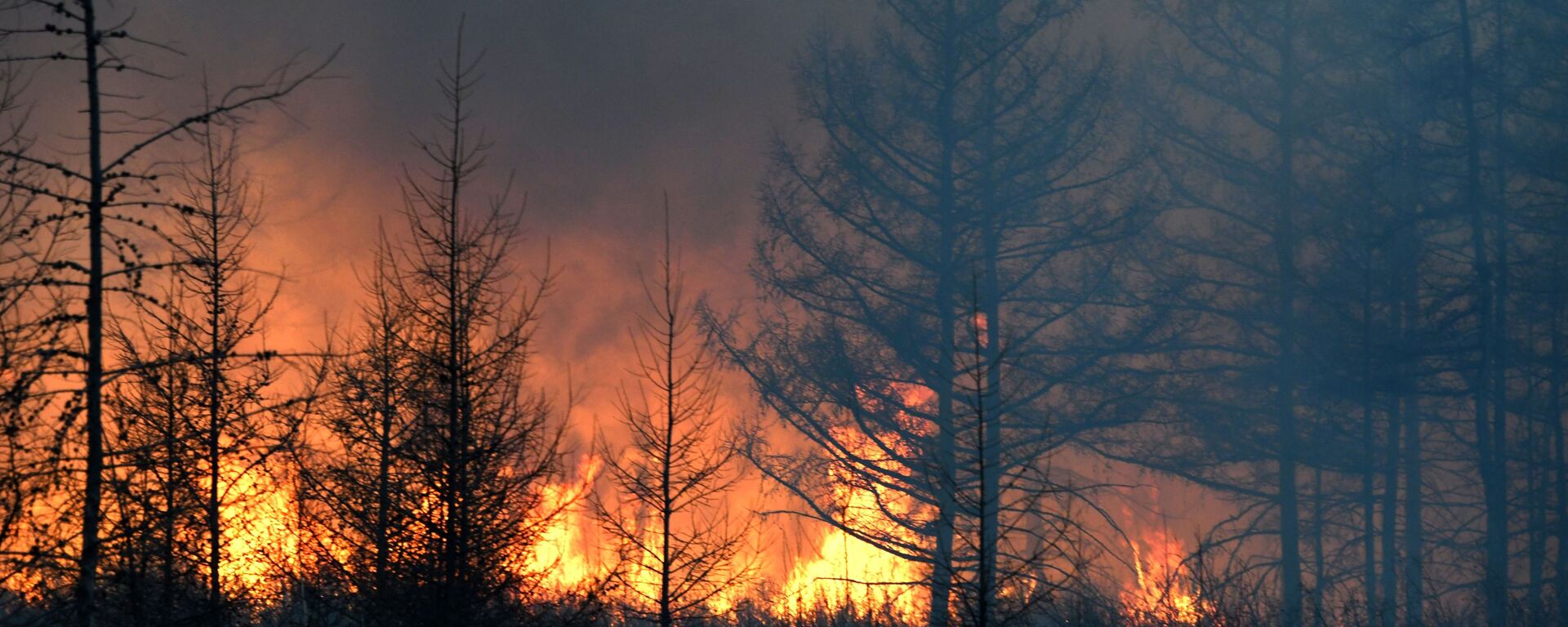 حرائق غابات في إقليم ما وراء البايكال، روسيا 23 أبريل 2020 - سبوتنيك عربي, 1920, 07.05.2022