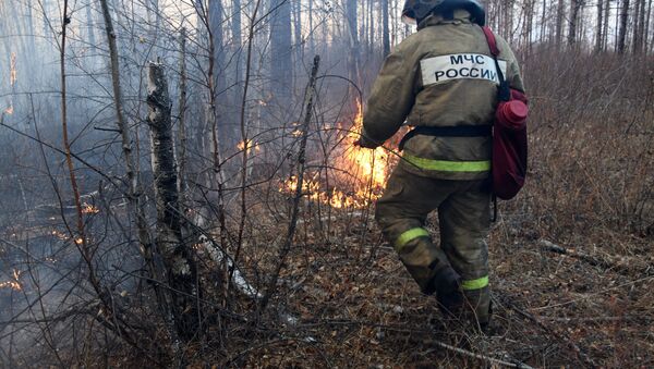 حرائق غابات في إقليم ما وراء البايكال، روسيا 23 أبريل 2020 - سبوتنيك عربي
